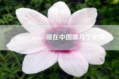 浚县现在中国哪几个金牌