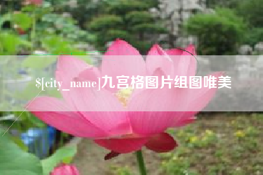 浚县九宫格图片组图唯美