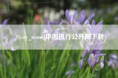 浚县中国执行公开网下载