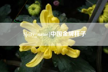 浚县中国金牌样子