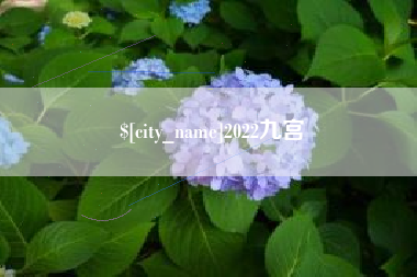 浚县2022九宫
