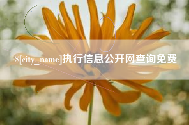 浚县执行信息公开网查询免费